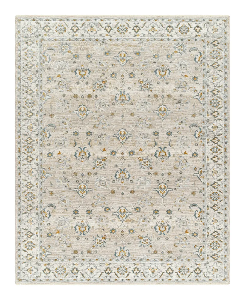 Livabliss Dresden Dre- 2'7" x 4' Area Rug