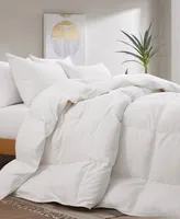 Unikome 360 Thread Count All Season Box Quilted White Goose Down and Feather Fiber Comforter