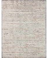 Loloi Levitt Shag Lev-01 4' x 6' Area Rug