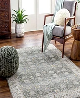 Livabliss Dresden Dre 2312 Area Rug
