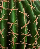 Nearly Natural Cactus Artificial Plant