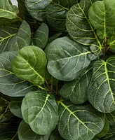 Nearly Natural 5' Fiddle Leaf Artificial Tree in White Tower Planter