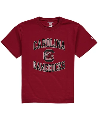 Big Boys and Girls Champion Garnet South Carolina Gamecocks Circling Team Jersey T-shirt