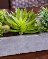 Nearly Natural Artificial Succulent Garden with Concrete Planter