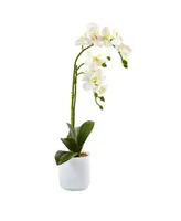 Nearly Natural Phalaenopsis Orchid in Frosted Glass