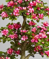 Nearly Natural 5' Azalea Artificial Tree