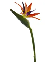 Nearly Natural 35-In. Bird of Paradise Artificial Flower, Set of 4