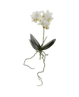 Nearly Natural 13-In. Mini Orchid Phalaenopsis Artificial Flower, Set of 6