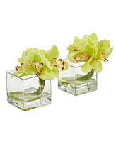 Nearly Natural Cymbidium Orchid Artificial Arrangement Glass Vase (Set of 2)