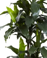 Nearly Natural 5' Dracaena Plant Uv Resistant