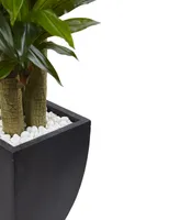 Nearly Natural 5.5' Corn Stalk Dracaena Artificial Plant in Black-Washed Planter