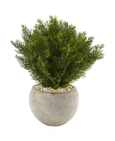 Nearly Natural 2' Cedar Artificial Plant in Sand Colored Bowl