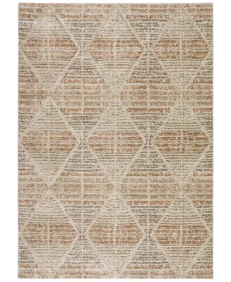 D Style Avilla AVL8 5'1" x 7'5" Area Rug