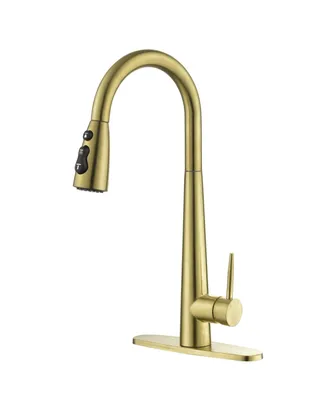 Simplie Fun Gold Kitchen Faucets With Pull Down Sprayer, Kitchen Sink Faucet With Pull Out Sprayer