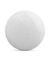 Botabee Swimming Pool Standard | Pool Volleyball for Use with Dunnrite, Intex, Swimways or Other Pool Volleyball Sets (Classic White)