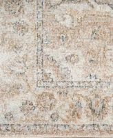 Nourison Home Astra Machine Washable ASW12 2'2" x 12' Runner Area Rug