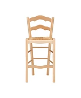 Linon Home Decor Antun 24" Counter Stool - Set of 2
