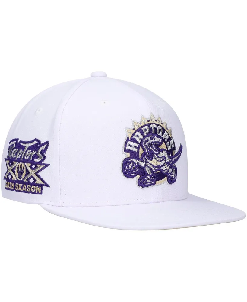 Men's Mitchell & Ness Black/Purple Toronto Raptors Hardwood