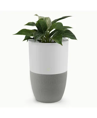 Bloom Air Purifier, Smart Hepa-13 Medical-Grade Filtration, Large Rooms (1,517 Sq. Ft.) with Integrated Planter