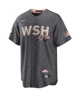 Men's Nike Gray Washington Nationals City Connect Replica Team Jersey