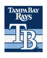 Wincraft Tampa Bay Rays Ultra Plush 50" x 60" Throw Blanket