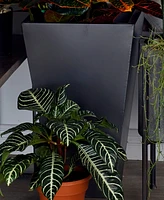 Metal Indoor Outdoor Light Weight Planter with Tapered Base and Polished Exterior Set of 3