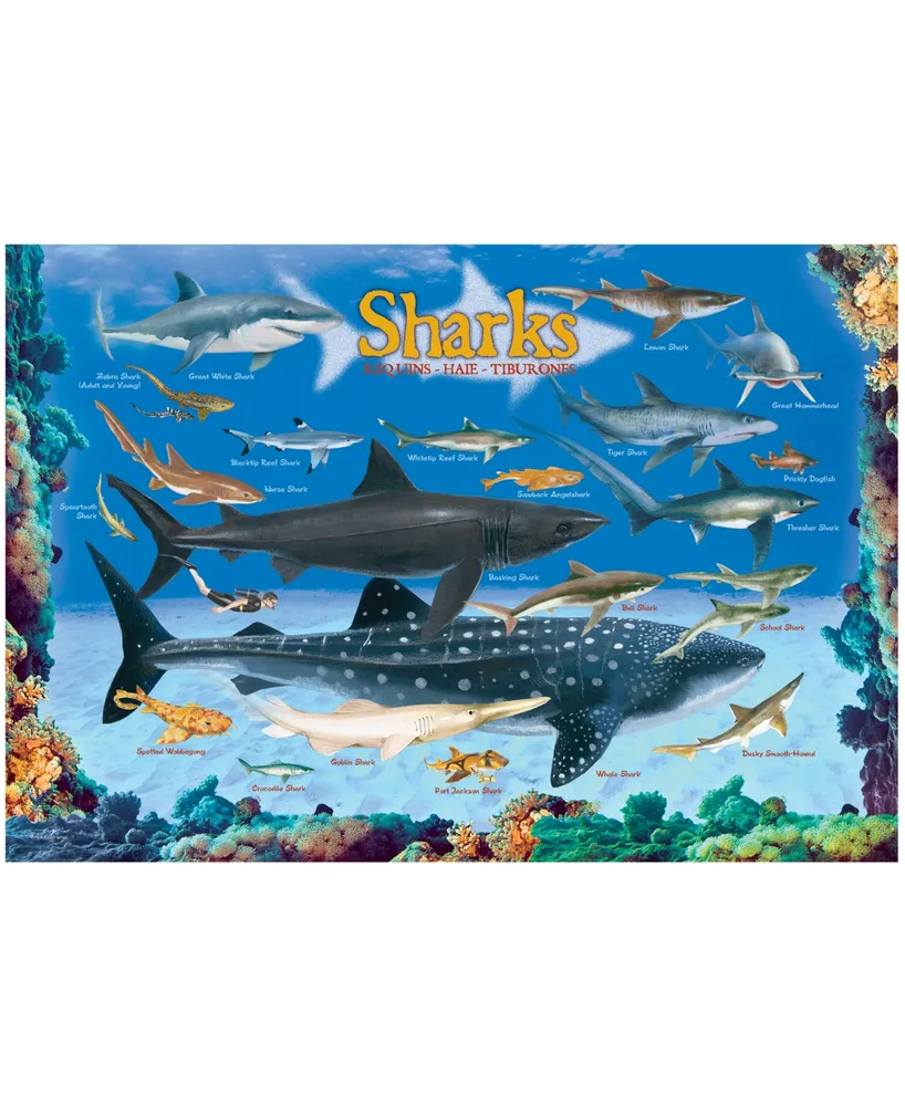 Eurographics Incorporated Smart Kids Collection Sharks Jigsaw Puzzle, 100 Pieces