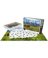 Eurographics Incorporated Steve Hinch Grand Teton National Park, Wyoming, Usa Jigsaw Puzzle, 1000 Pieces