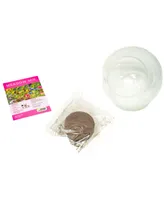 Unique Gardener Glass Terrarium Wildflower Blooms Plant Kit