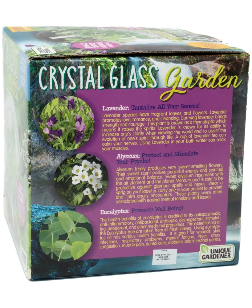 Unique Gardener Glass Terrarium Crystal Glass Garden Plant Kit