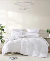 Royal Luxe All Season Warmth White Goose Feather Down Fiber Comforters Created For Macys