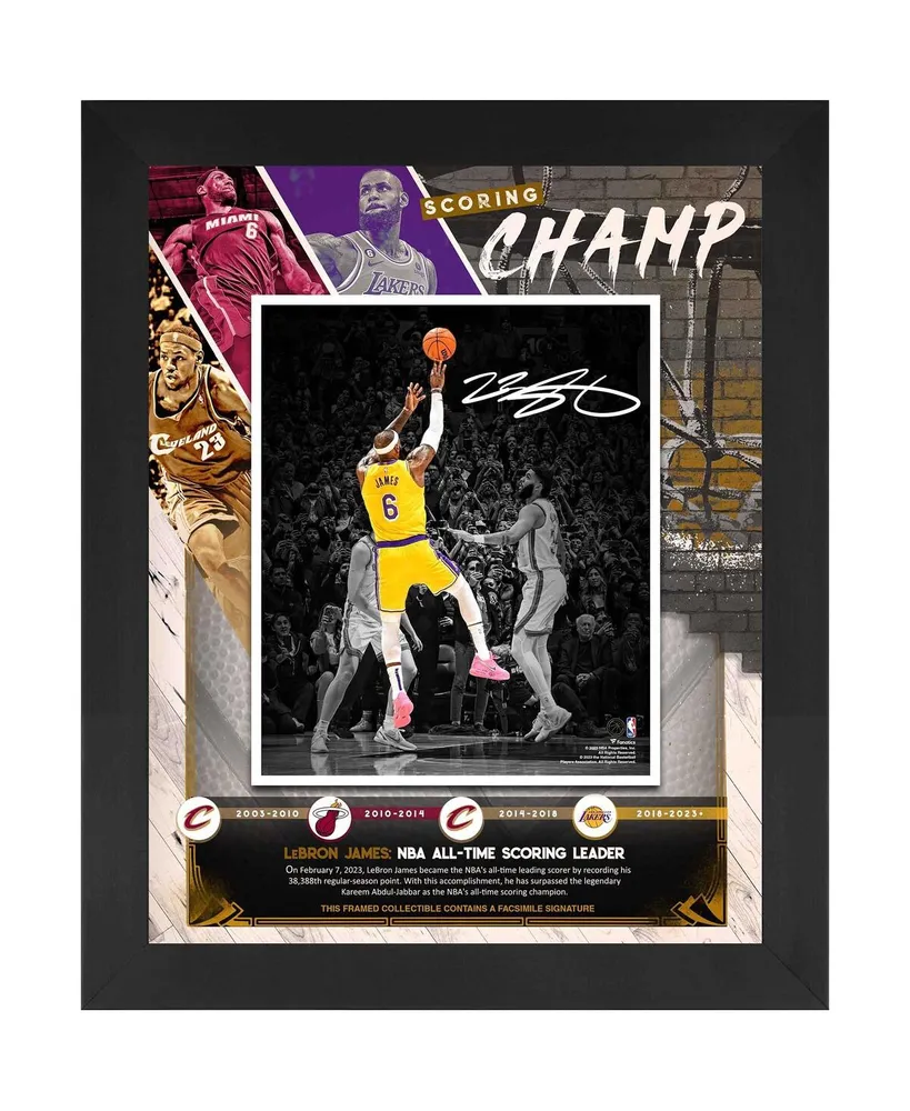 LeBron James Los Angeles Lakers Framed 16 x 20 Stars of The Game Collage