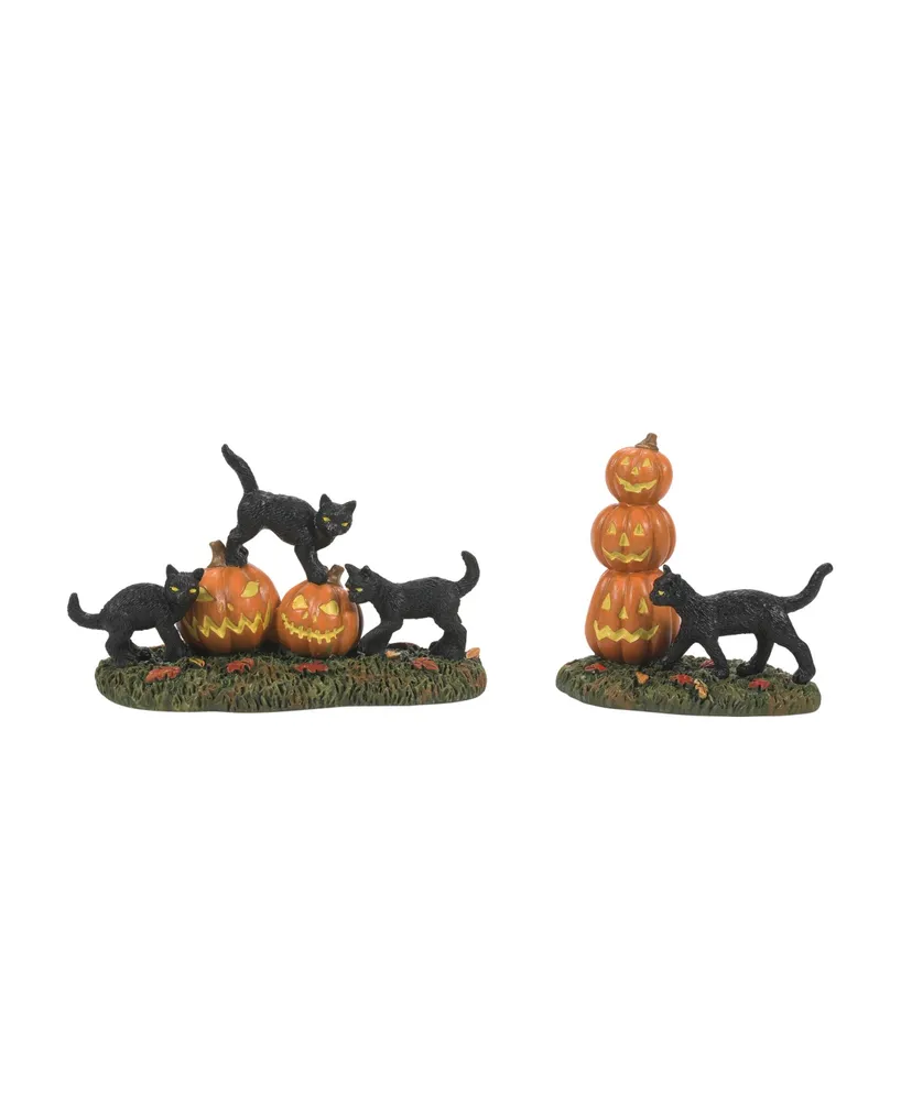 Department 56 Scary Cats Pumpkins, Set of 2