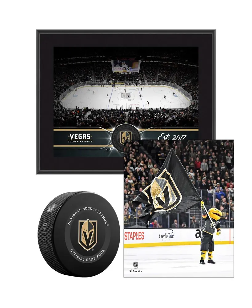 Vegas Golden Knights Young Collectors Bundle - Includes Team Stadium 10.5" x 13" Plaque Official Game Puck and Unsigned 8" x 10" Mascot Photograph