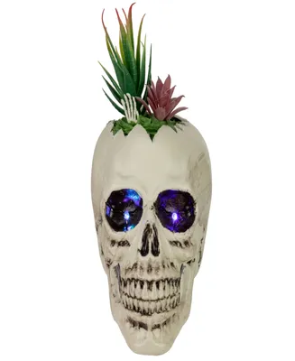 8.75" Led Lighted Succulent Halloween Skull Planter