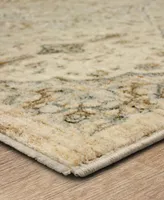 Karastan Divina Gloriana 6'6" x 9'6" Area Rug