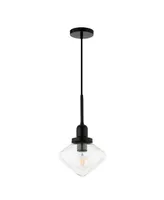 Hudson & Canal Zariza 8" Glass Shade Wide Pendant