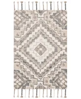 Safavieh Aurora APN250 2' x 3' Area Rug