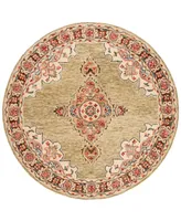 Safavieh Aurora APN506 3' x 3' Round Area Rug