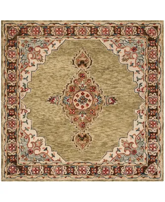 Safavieh Aurora APN506 7' x 7' Square Area Rug