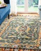 Safavieh Aurora APN116 4' x 6' Area Rug