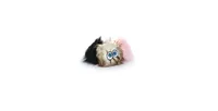 Silly Squeaker iBall Small Black Brown Pink, 2-Pack Dog Toys - Assorted Pre