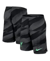 Men's Nike Anthracite Liverpool 2023/24 Stadium Goalkeeper Performance Shorts