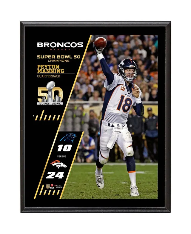 Patrick Surtain II Denver Broncos Framed 15 x 17 Player Panel Collage