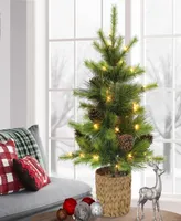 Puleo 3.5' Pre-Lit Potted Artificial Tree