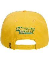 Men's Pro Standard Gold Norfolk State Spartans Evergreen Mascot Snapback Hat