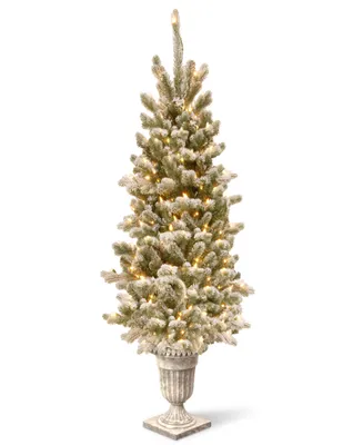 National Tree Company 4' Snowy Sheffield Spruce Entrance Tree with Twinkly Led Lights