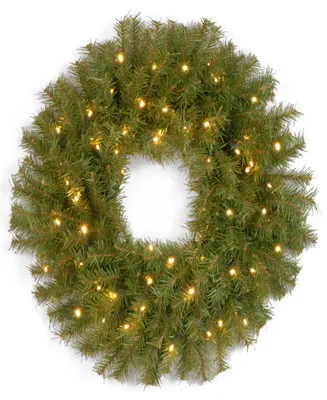 National Tree Company 24" Norwood Fir Wreath with Twinkly Led Lights