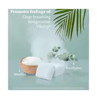 PurelifeBiotics Aromatherapy Shower Steamers, 100% Pure Essential Oils, All Natural, Usa Handmade Shower Bombs for Stress Relief