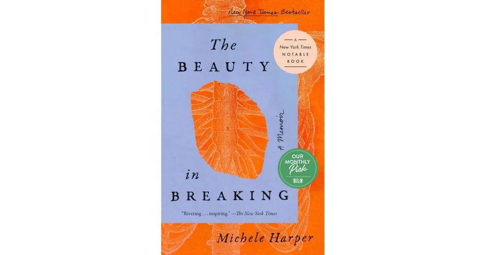 The Beauty in Breaking by Michele Harper